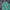 Tommy Hilfiger Acid Lime Oxford Shirt A Shock to the System photo 4