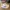 Kobe 8 Protro “Lakers Home” photo 2