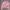 Juicy Couture Tracktop Velvet Jacket Y2K
