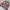 Ransel Gucci (Anak) GG Supreme Monogram Kids Owl Backpack photo 2