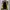 Luxury Lolita Bodycon dress Wanita white black photo 5