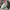 LOUIS VUITTON TRAINER SNEAKER PARIS EXCLUSIVE UNGETRAGEN , L photo 6
