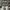 LOUIS VUITTON TRAINER SNEAKER PARIS EXCLUSIVE UNGETRAGEN , L photo 3
