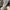 LOUIS VUITTON TRAINER SNEAKER PARIS EXCLUSIVE UNGETRAGEN , L photo 5