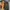 coach morgan bag crossbody amazon green photo 7