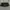 coach morgan bag crossbody amazon green photo 4