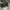 coach morgan bag crossbody amazon green photo 5