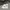 coach morgan bag crossbody amazon green photo 9