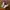 Crocs Bayaband Clog photo 2
