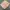 FREE 1 Pashmina bebas pilih warna photo 5