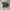 SALOMON XT-6 GORETEX BLACK SILVER