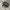SALOMON XT-6 GORETEX BLACK SILVER