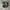 SALOMON XT-6 LAB WHITE VANILA ICE photo 4