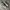 SALOMON XT-6 LAB WHITE VANILA ICE photo 3