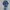 ACOVER BLUE HOODIE
