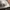 Adidas Retropy E5 White Gum photo 5
