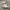 Adidas Retropy E5 White Gum photo 1