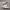 Adidas Retropy E5 White Gum