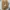 Adidas Retropy E5 White Gum photo 4