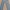 CELANA JEANS LIGHT BLUE WASH WITH IKONIK POCKET photo 7
