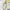 KASA STUFF [CLEARANCE SALE]-PHONE STRAP YELLOW DAISY photo 1