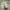 Sendal crocs full white unisex slide size 39-40 original 100 photo 3