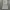 Burberry nova check dress photo 8