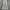 Burberry nova check dress photo 2