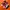 nike jordan low
 photo 1