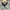 Harrington by montagut bolak balik photo 3
