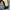 Manolo blahnik flats photo 9