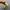 NIKE AIRMAX REACT 270 photo 4