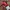 Umbro Sportswear Jersey Pria Red