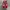 Rare Vans Authentic Classic Red Chilli photo 4