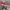 Rare Vans Authentic Classic Red Chilli photo 1