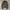 Rare Archive Dolce & Gabbana Jacket Military Multi Zipper photo 7