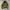 Rare Archive Dolce & Gabbana Jacket Military Multi Zipper photo 1