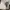 Vintage Y2K T-shirt Pria white photo 4