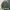 Le Coq Sportif Casual Sweatshirt Pria green gray photo 1