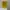 Buku ‘Jangan Membuat Masalah Kecil Jadi Masalah Besar’ photo 1