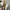 (Wattpad Bundle) A, Serendipity, dan Maps photo 3