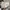 (Wattpad Bundle) A, Serendipity, dan Maps photo 7