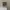 (Wattpad Bundle) A, Serendipity, dan Maps photo 5