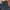 Schott USA Puffer Jacket | Jacket Schott Second photo 4