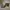 (Fantasteen Bundle) Wewe Gombel & Psychopath  photo 1