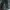 Nike Nylon pants photo 1