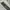 New Balance Originals Tech Gray Sweatpant photo 6