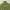 embroidery green jacket photo 2