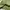 embroidery green jacket photo 5