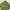 embroidery green jacket photo 6